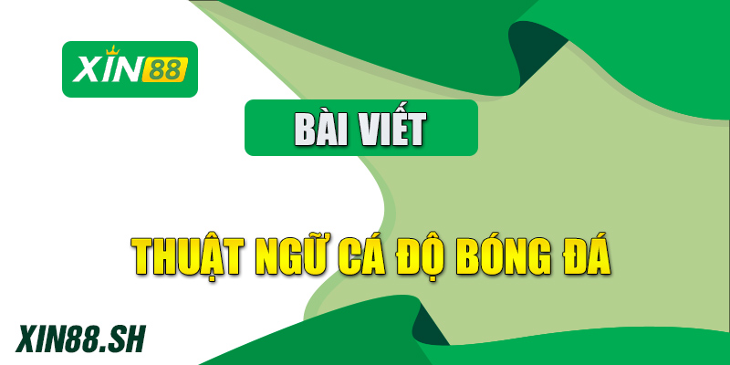 thuật ngữ cá độ bóng đá​